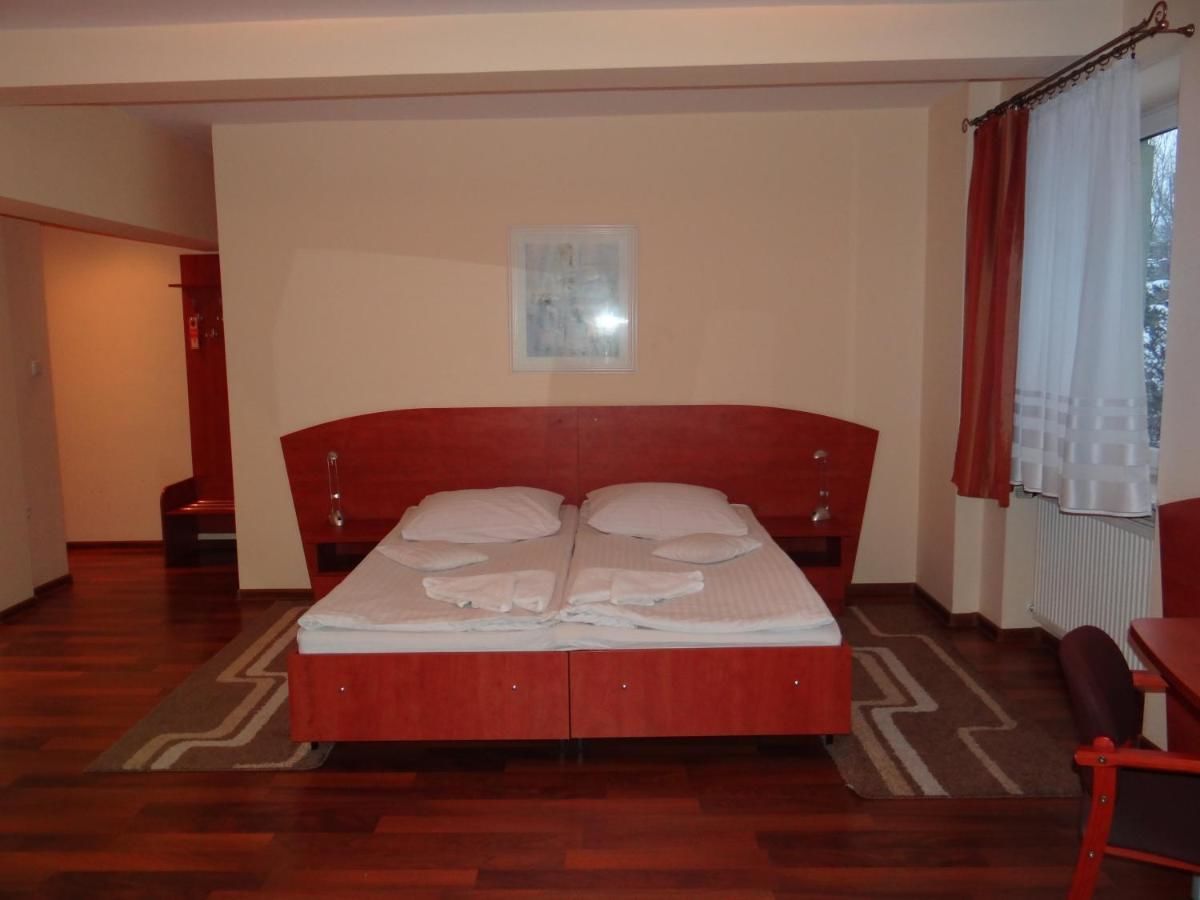 Отель Hotel Restauracja Kinga Катовице-29